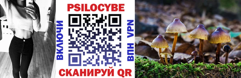 Псилоцибиновые грибы Cubensis  Бор 